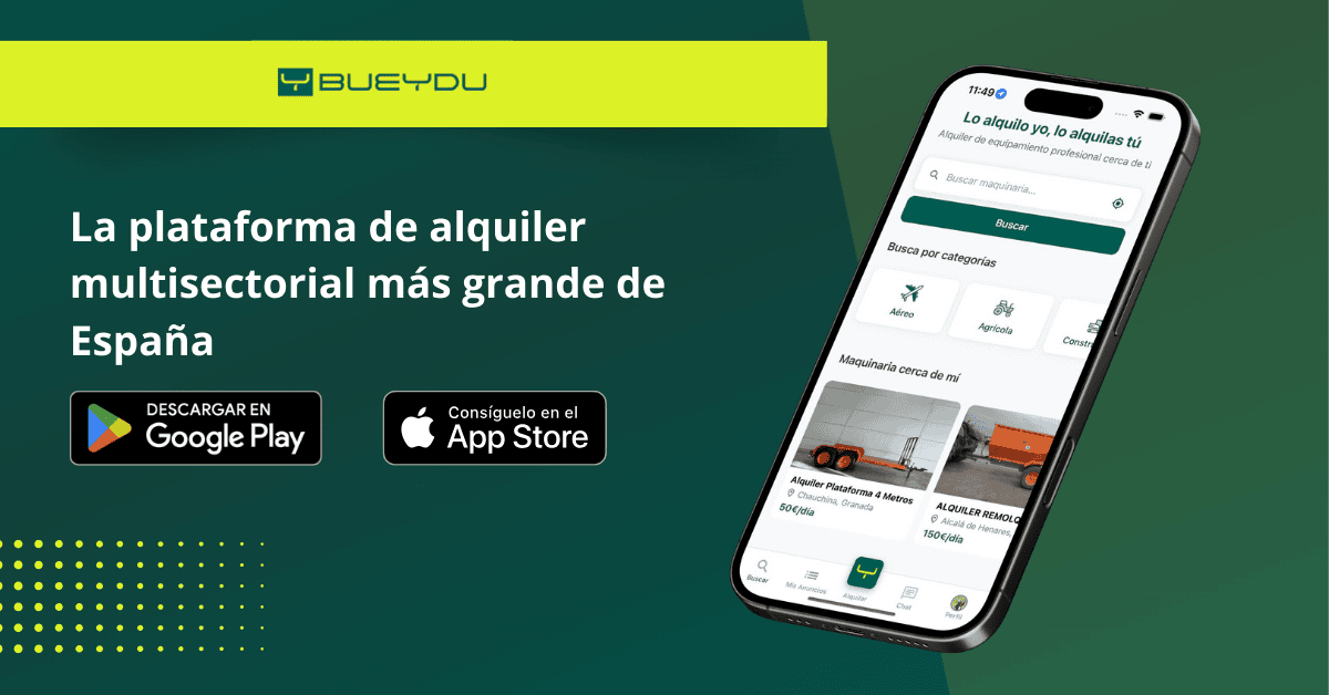 Nueva App de alquiler en España BUEYDU